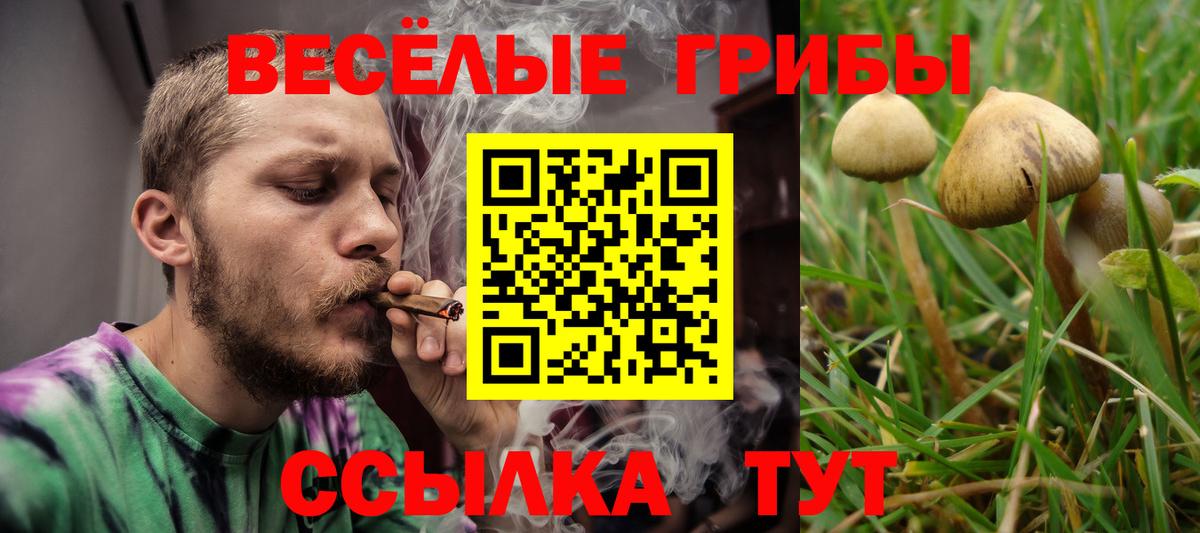Псилоцибиновые грибы Cubensis  Вход с VPN  Владивосток 